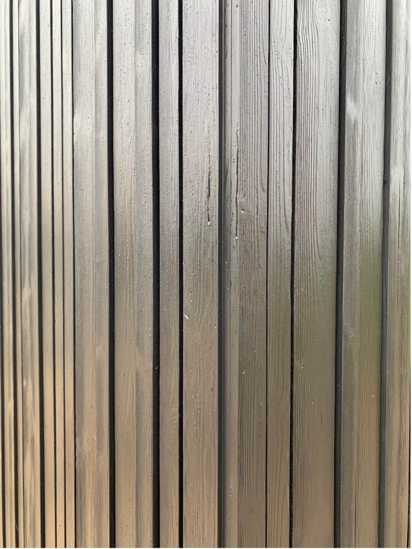 Bois closeup